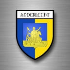 r5195 blason anderlecht B