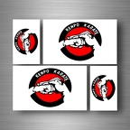 r5262 set 4x sticker kenpo karate B