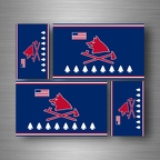 r5279 set 4x sticker pawnee B