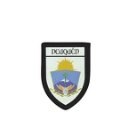 PBL 246 blason neuquen B
