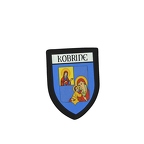 PBL 290 blason kobryne B