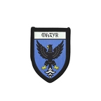 PBL 293 blason mazyr B