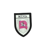 PBL 299 blason recyca B