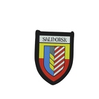 PBL 302 blason salihorsk B
