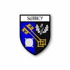 r5548 blason surrey B