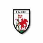 PBL 383 blason cardiff B