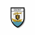PBL 395 blason galway B