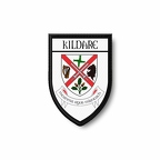 PBL 416 blason kildare B
