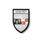 PBL 417 blason kilkenny B