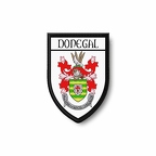 PBL 431 blason donegal B