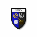 PBL 333 blason surrey B