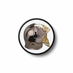 Prond 120 cask pompier vrai