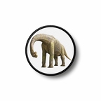 Prond 036 diplodocus 2