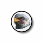 Prond 041 american eagle