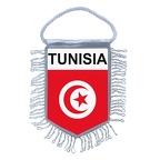 MF230 tunisia