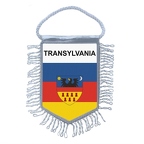 MF290 transylvania
