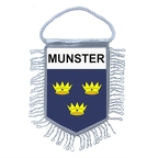 MF404 munster