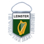 MF406 leinster