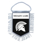 MF431 molon labe