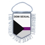 MF446 demisexual