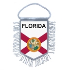 MF335 florida