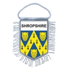 MF5545  shropshire B