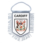 MF5599  cardiff COA B