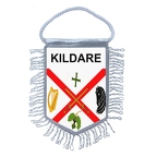 MF5631  kildare B