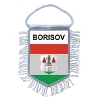 MF5173  borisov B