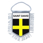 MF5653  saint david B