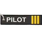 ARM21 pilot 3G