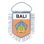 MF4908  bali B
