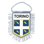 MF4982  turin B