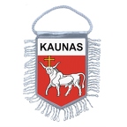 MF4992  kaunas B