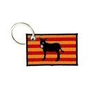 PC C175 CATALOGNE DRAPEAU ANE