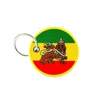 PC D35 Lions of judah