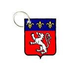 PC A21 BLASON RHONES ALPES
