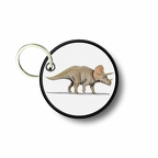 PC PR 037 triceratops