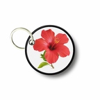 PC PR 096 ibiscus couleur