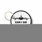 PC PR 208 can i go fly