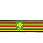 ARMB 2061 Kanaka maoli