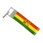 KEYTAG B041 ethopie lion