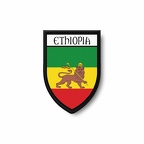 PBL 6091 Ethiopie lion