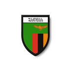 PBL 6201 Zambie