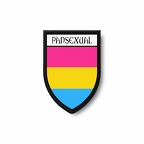 PBL 6382 pansexual