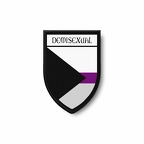 PBL 6387 demisexual