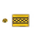 AX 450 west midlands