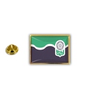 AX 456 south yorkshire council