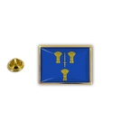 AX 473 cheshire council