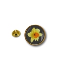 AX 1017 yellow daffodil st david'